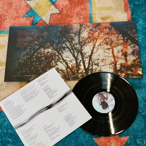 vinyle album feux theorem of joy