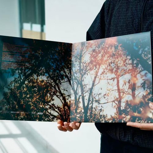 vinyle-feux